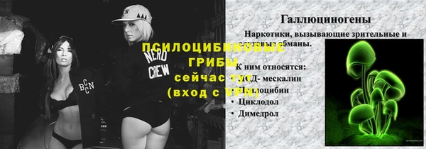 прущий лед Щигры