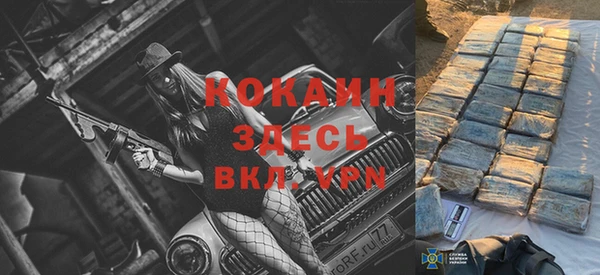 индика Щёлкино