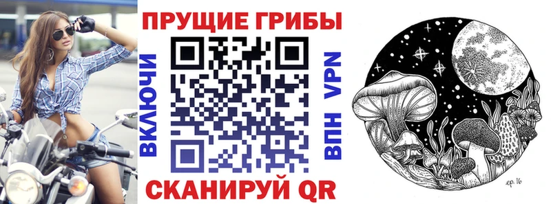 продажа наркотиков  Холм  Псилоцибиновые грибы GOLDEN TEACHER 